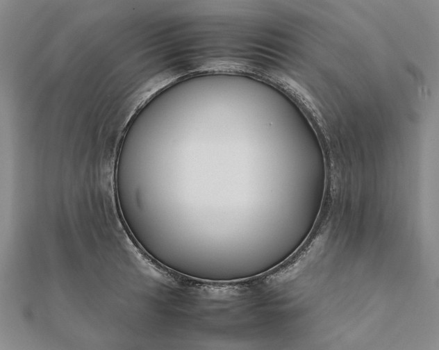 X0000112071041200908181216