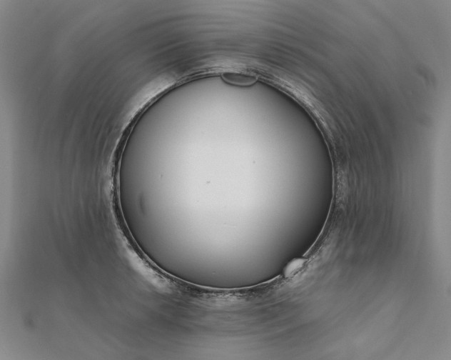 X0000112071042200908181216