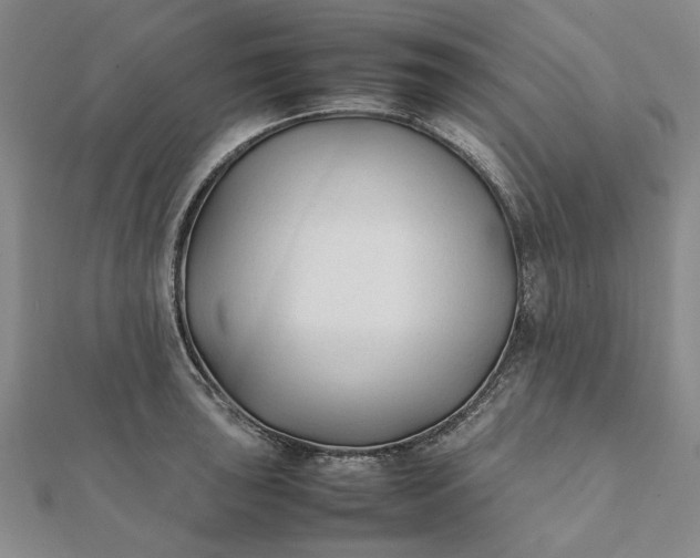 X0000112071043200908181216