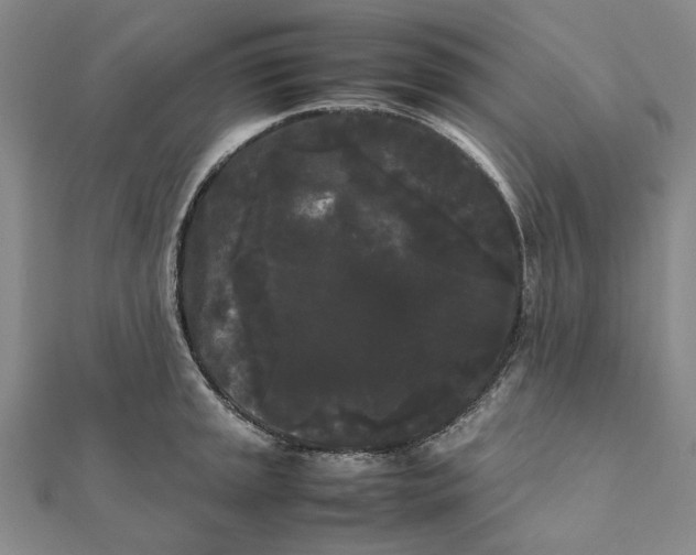 X0000112071045200908181216