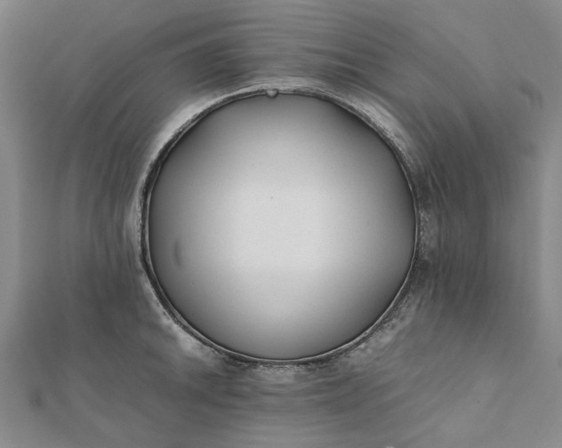 X0000112071046200908181216