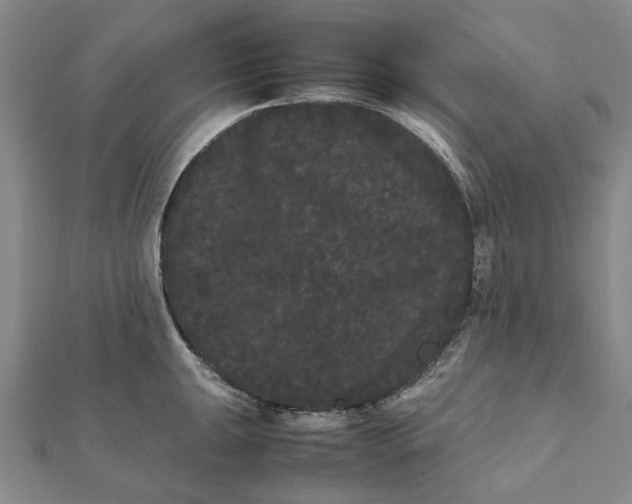 X0000112071047200908181216