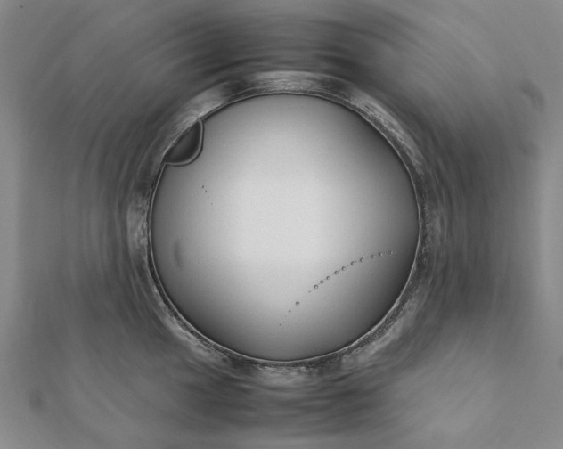 X0000112071049200908181216