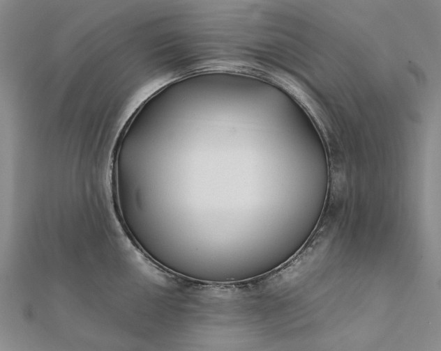 X0000112071050200908181216