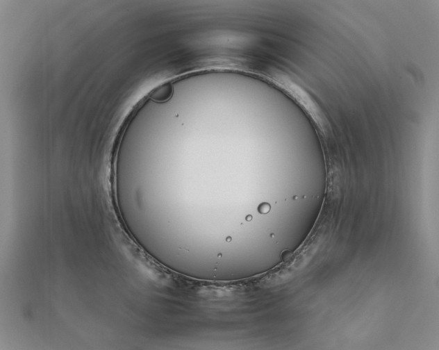 X0000112071051200908181216