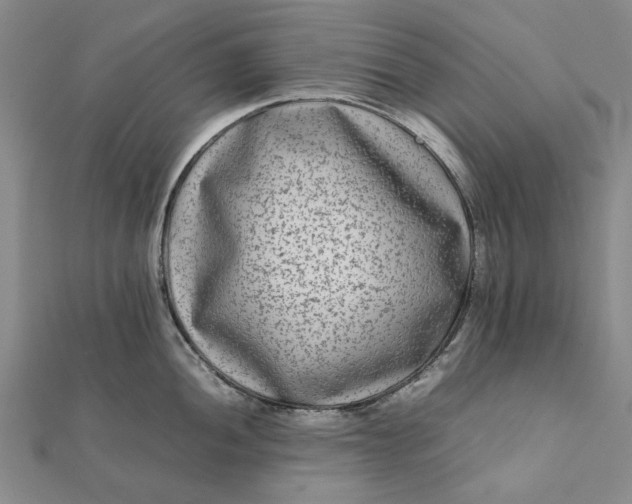 X0000112071052200908181216