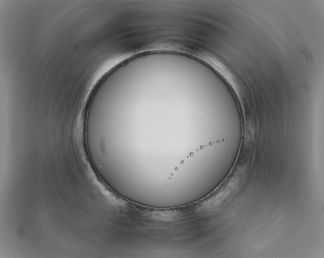 X0000112071053200908181216