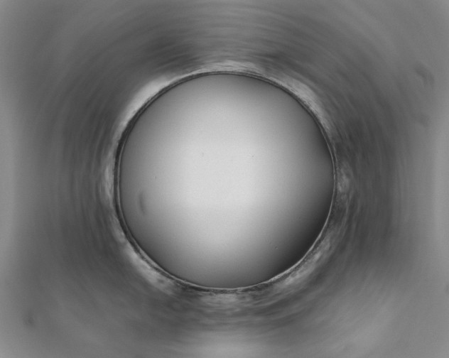 X0000112071054200908181216