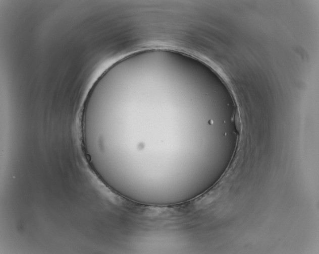 X0000112071056200908181216