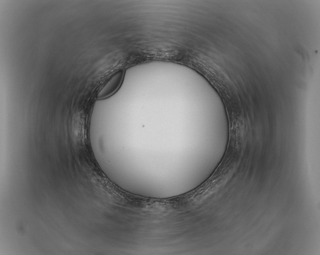 X0000112071058200908181215