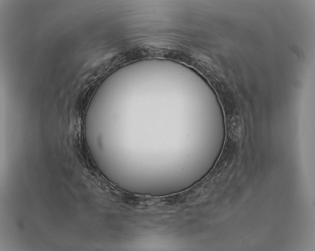 X0000112071061200908181215