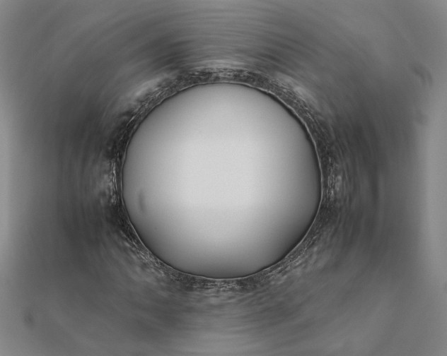 X0000112071062200908181215