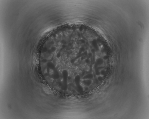 X0000112071063200908181215