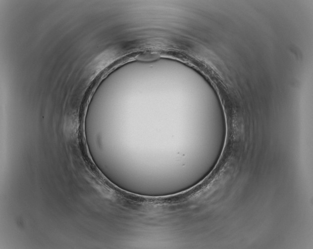 X0000112071065200908181215