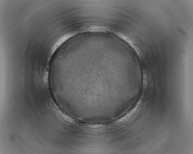 X0000112071066200908181215