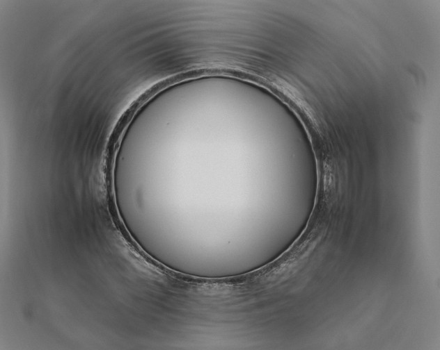 X0000112071068200908181215