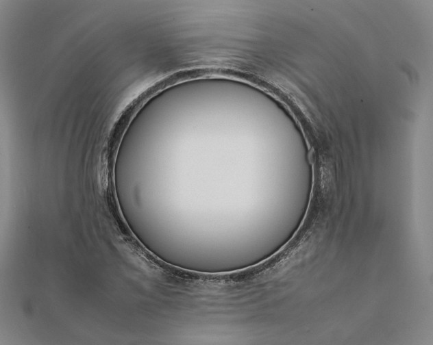 X0000112071069200908181215