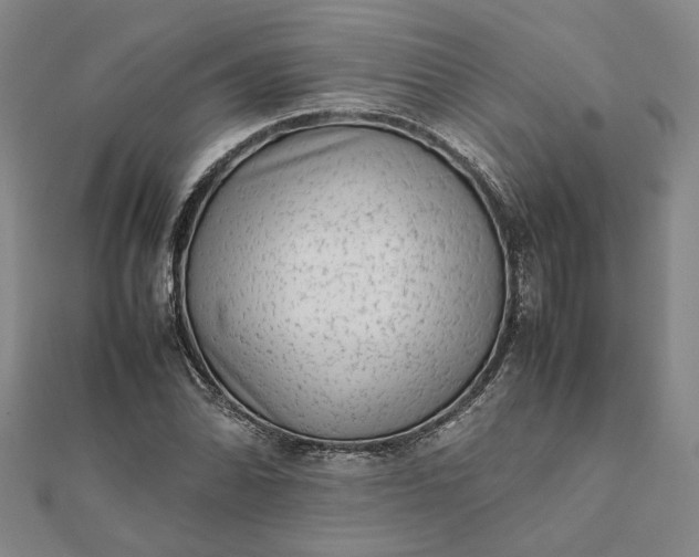 X0000112071070200908181215