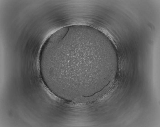 X0000112071072200908181215