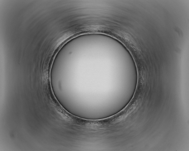 X0000112071073200908181215