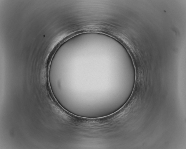 X0000112071075200908181215