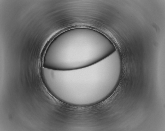 X0000112071076200908181215