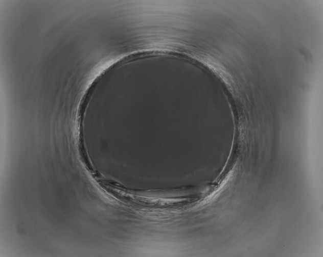 X0000112071077200908181215