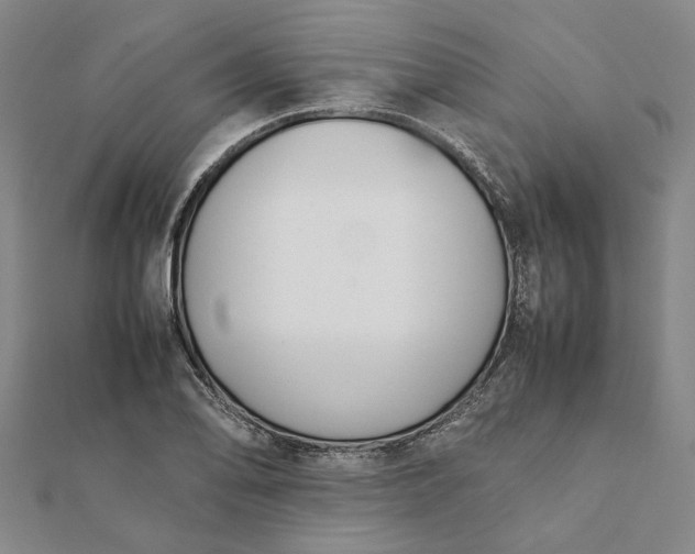 X0000112071078200908181215