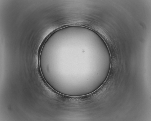 X0000112071079200908181215