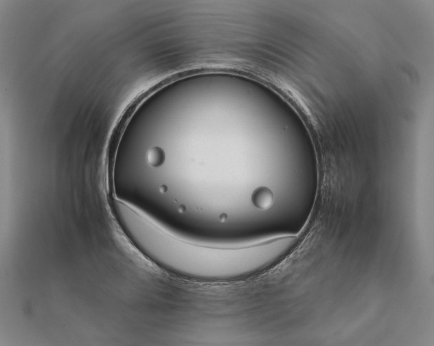 X0000112071080200908181215