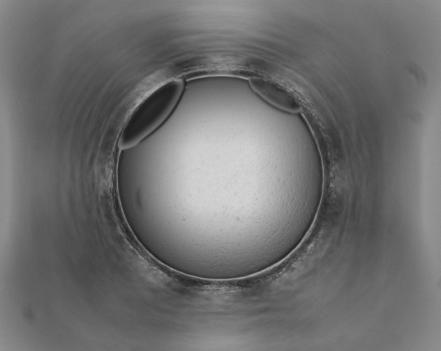 X0000112071081200908181215