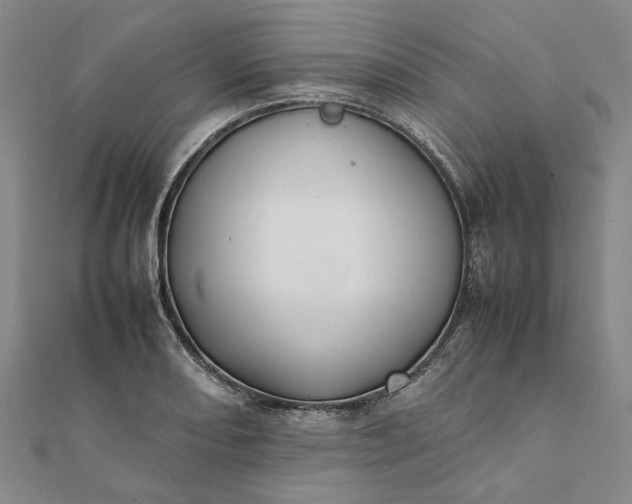 X0000112071082200908181215