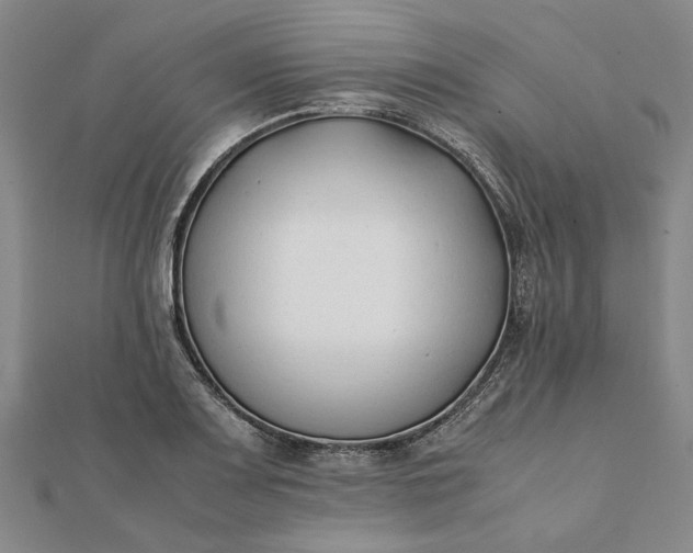 X0000112071083200908181215