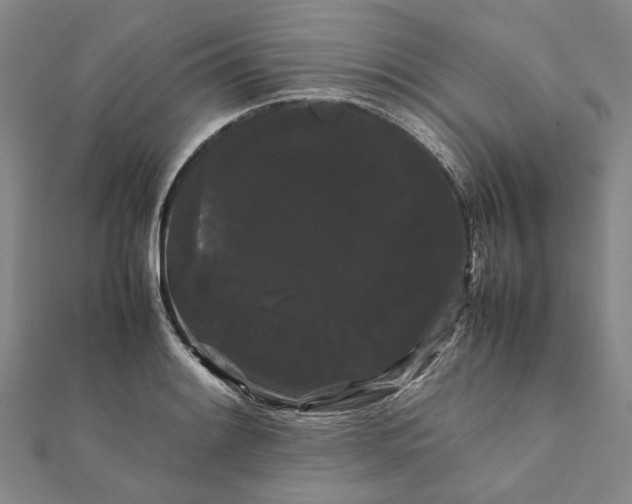 X0000112071084200908181215