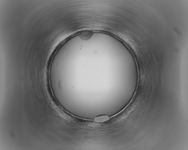 X0000112071085200908181215