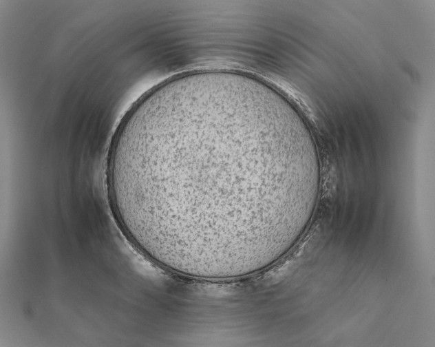 X0000112071086200908181215