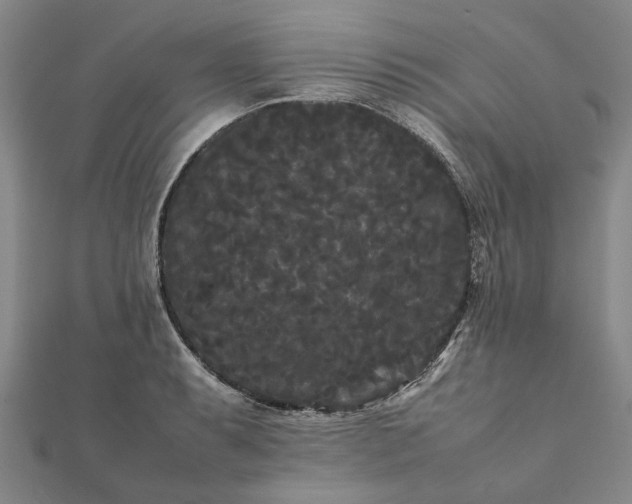 X0000112071087200908181215