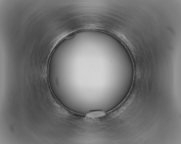 X0000112071089200908181215