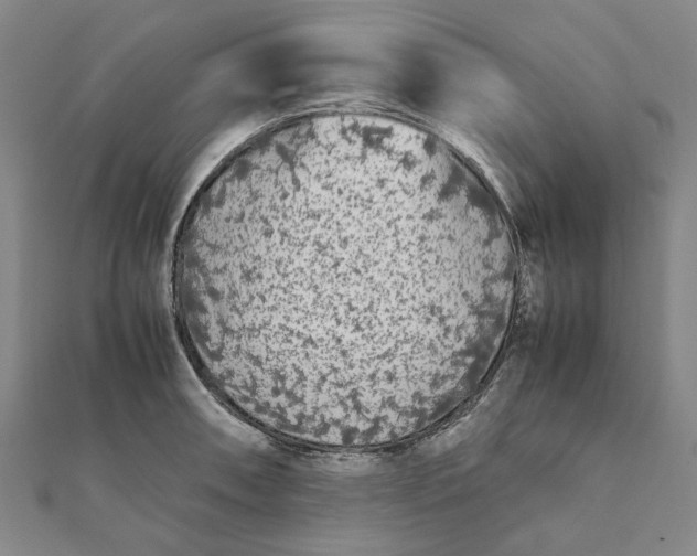 X0000112071090200908181215