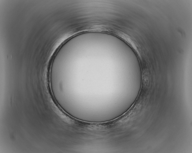 X0000112071091200908181215