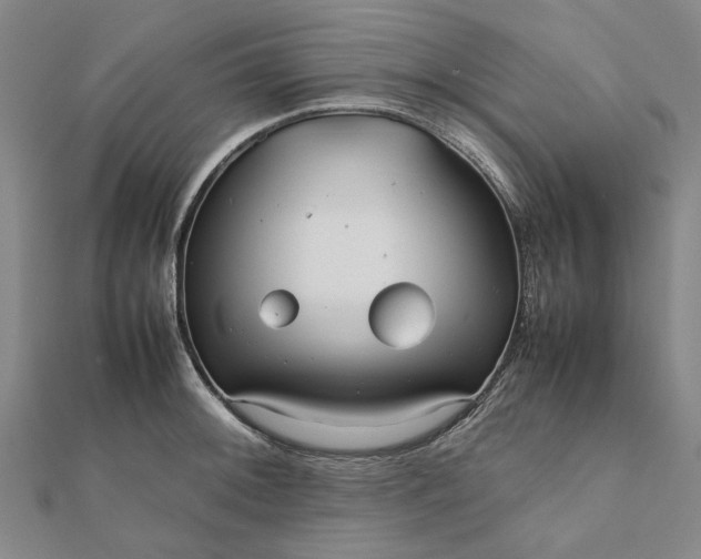 X0000112071092200908181215