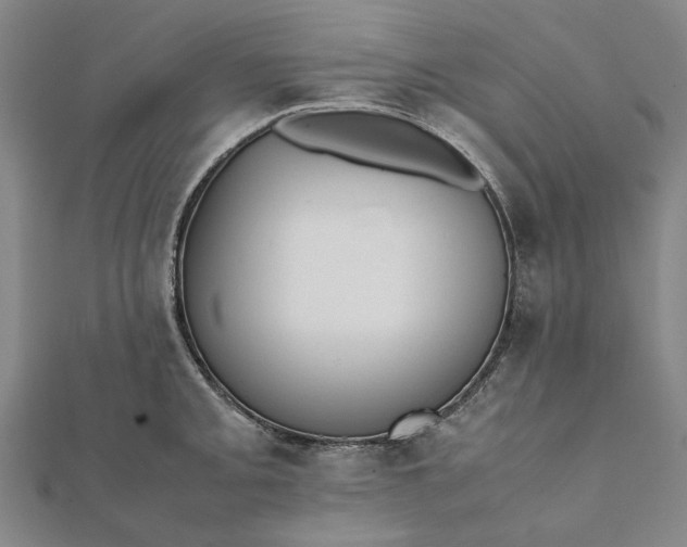 X0000112071093200908181215