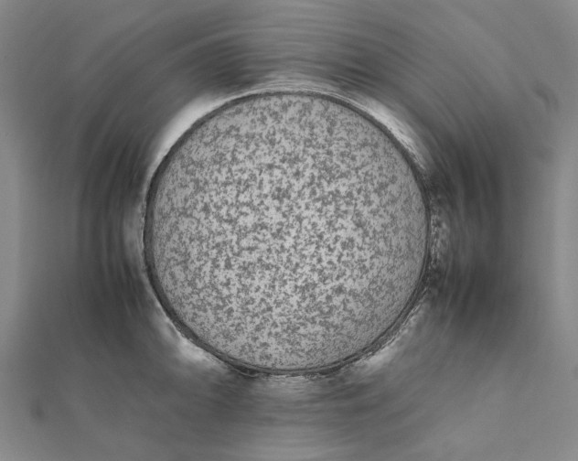 X0000112071094200908181214