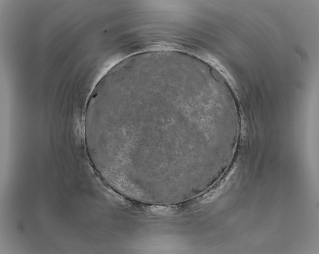 X0000112071097200908181214