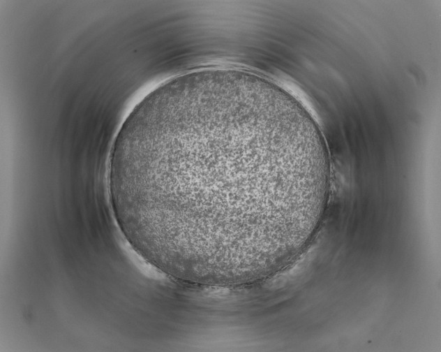 X0000112071098200908181214