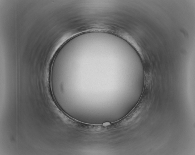 X0000112071099200908181214