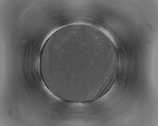 X0000112071100200908181214