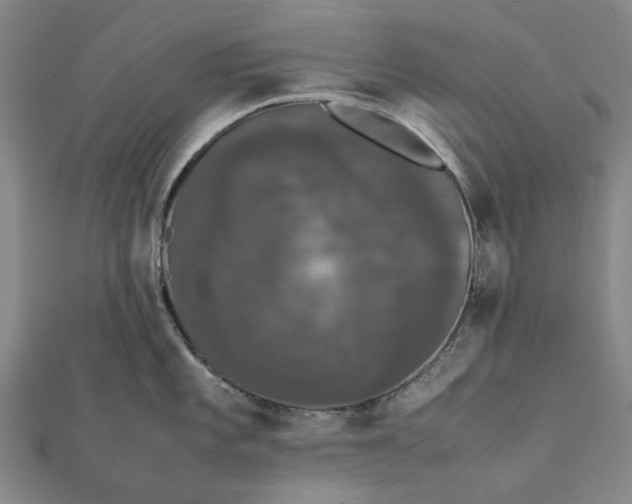 X0000112071101200908181214