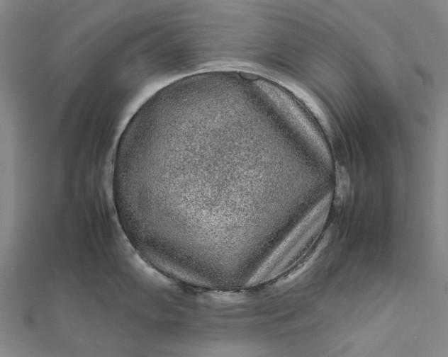 X0000112071102200908181214