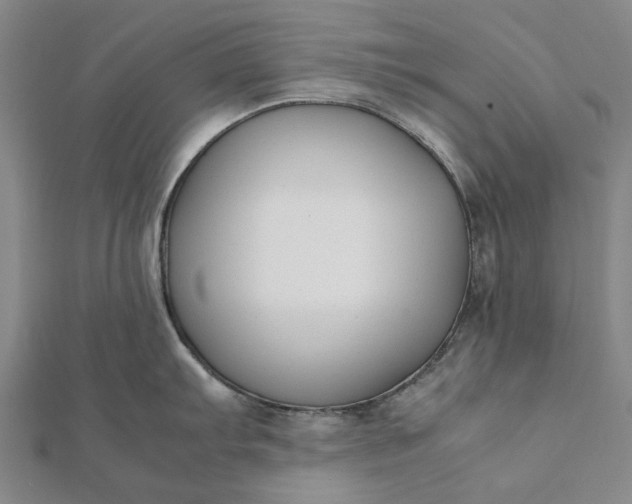 X0000112071103200908181214